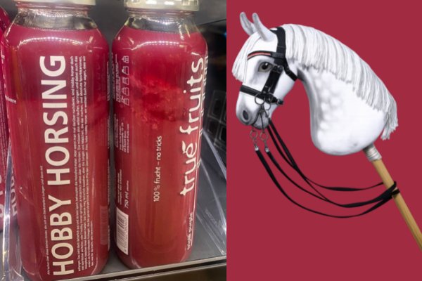 Mehr über den Artikel erfahren Die true fruits GmbH stärkt uns den Rücken – ein starkes Statement für Hobby Horsing