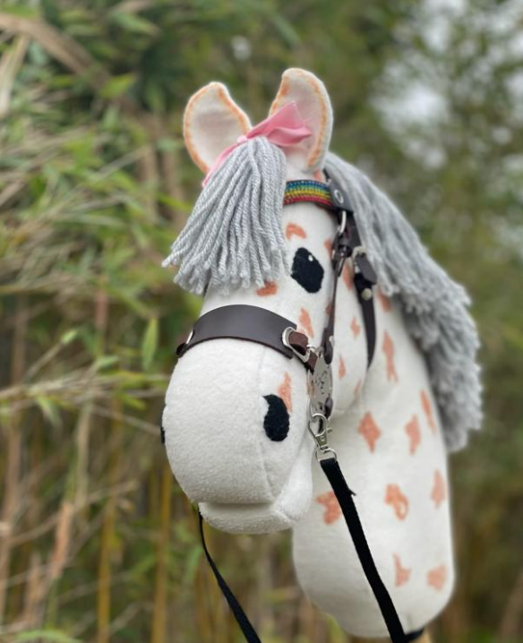 Eventfoto Hobby Horse Tag beim SV Söcking