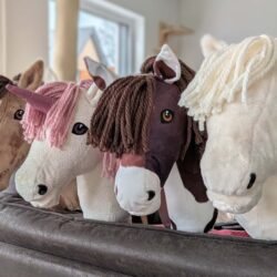 Handmade Hobby Horses