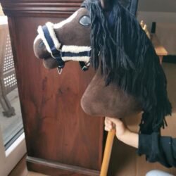 neuwertiges Hobby Horse