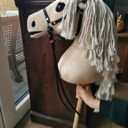 neuwertiges Hobby Horse
