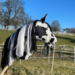 Kurs "Nähe dir dein eigenes Hobby Horse!" Für Kinder ab 10 Jahren in 73760 Ostfildern (BW)