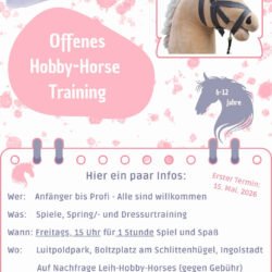 Hobby-Horse Training