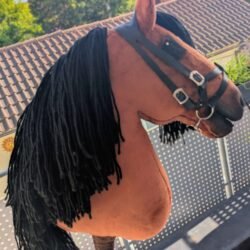 # Süßes Hobby Horse sucht neuen Besitzer - Neuwertig