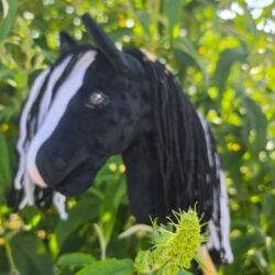 Hobbyhorse nur 300g