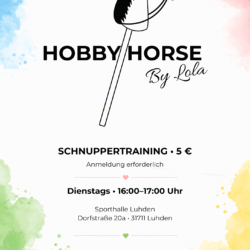 Hobby Horse Training