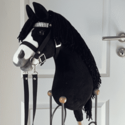 Hobbyhorse